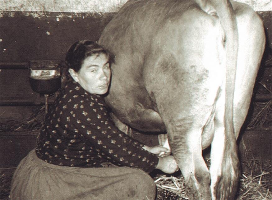  Beim Melken: Franziska Hahnekamp, Am Platzl. Foto: Geschichte und Geschichten