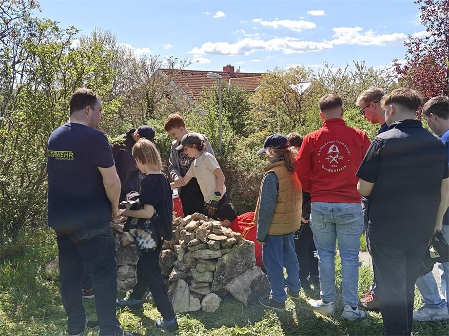Fleißige Bienchen: Feuerwehr Großhöflein hatte einiges zu tun