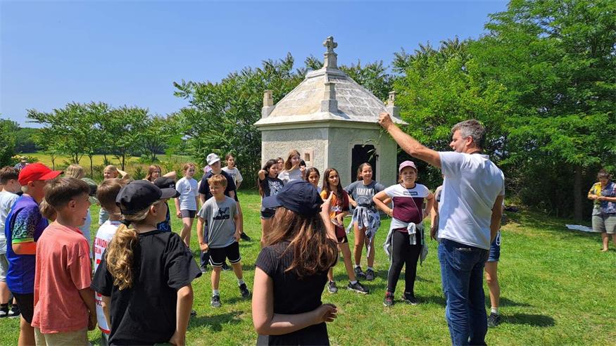 Mittelschüler aus dem Nordburgenland meisterten Naturschutzrally