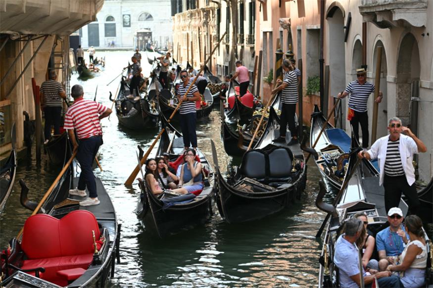 2025 Einnahmen von 5,5 Millionen Euro