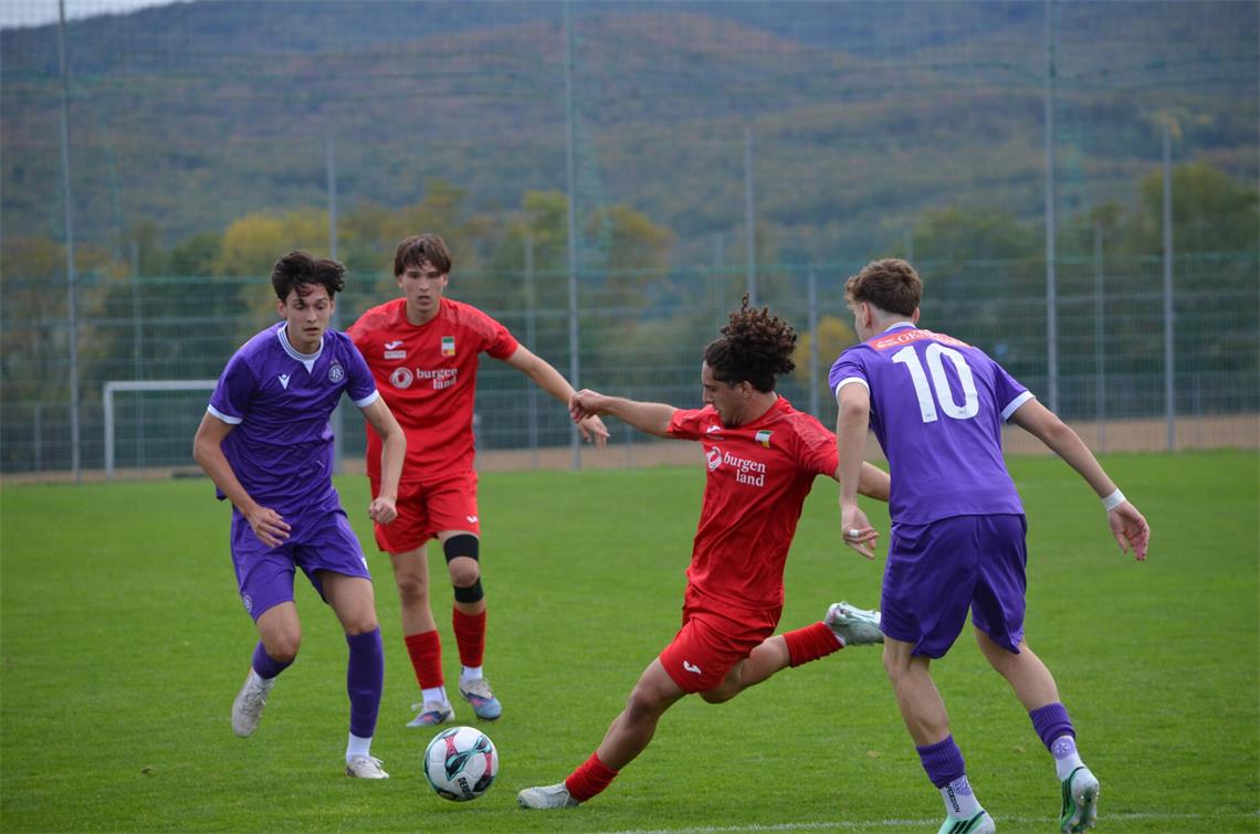 AKA Burgenland Fußballakademie Burgenland AKA Austria Wien 
