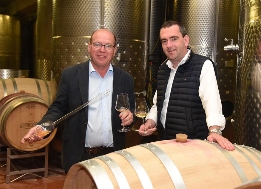 Als Duo im EInsatz. Weinbaupräsident Andreas Liegenfeld und Wein-Burgenland-Obmann Herbert Oschep (v.l.).