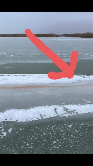 An dieser Stelle brach der Föhrenauer am Neusiedler See ein. 