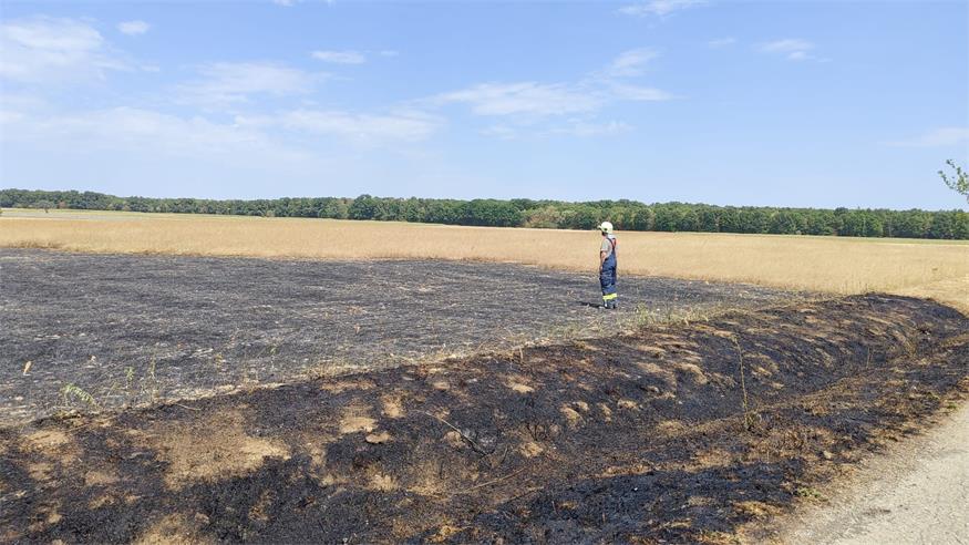 Angesichts der anhaltenden Hitze und Trockenheit appelliert die Feuerwehr Steinberg an die Bevölkerung, extreme Vorsicht walten zu lassen. 