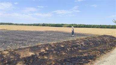 Angesichts der anhaltenden Hitze und Trockenheit appelliert die Feuerwehr Steinberg an die Bevölkerung, extreme Vorsicht walten zu lassen. 