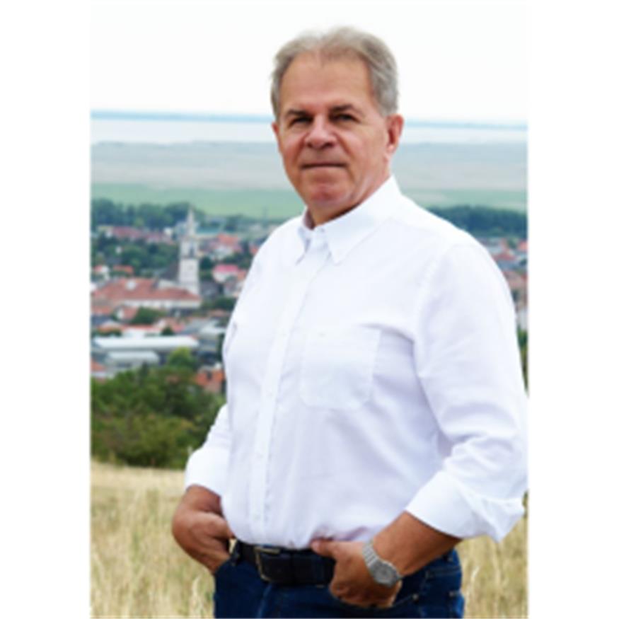 Purbach: FPÖ liegt über Bezirksschnitt, große Parteien verlieren