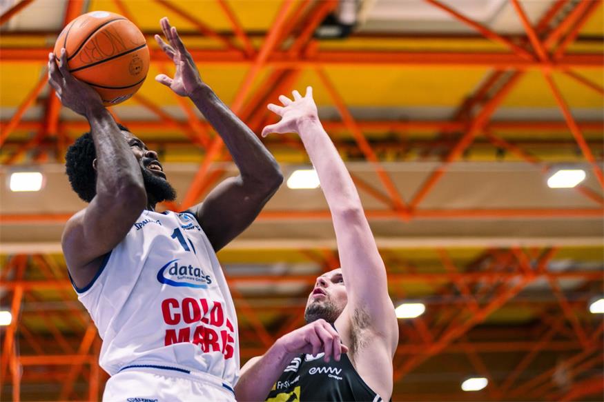 Die Sensation ist perfekt: Dragonz stehen im Halbfinale!