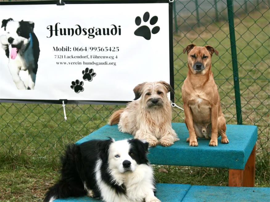 Bei der Hundsgaudi sind alle willkommen, deshalb freuen sich die Mitglieder immer über Vereinsfamilienzuwachs.