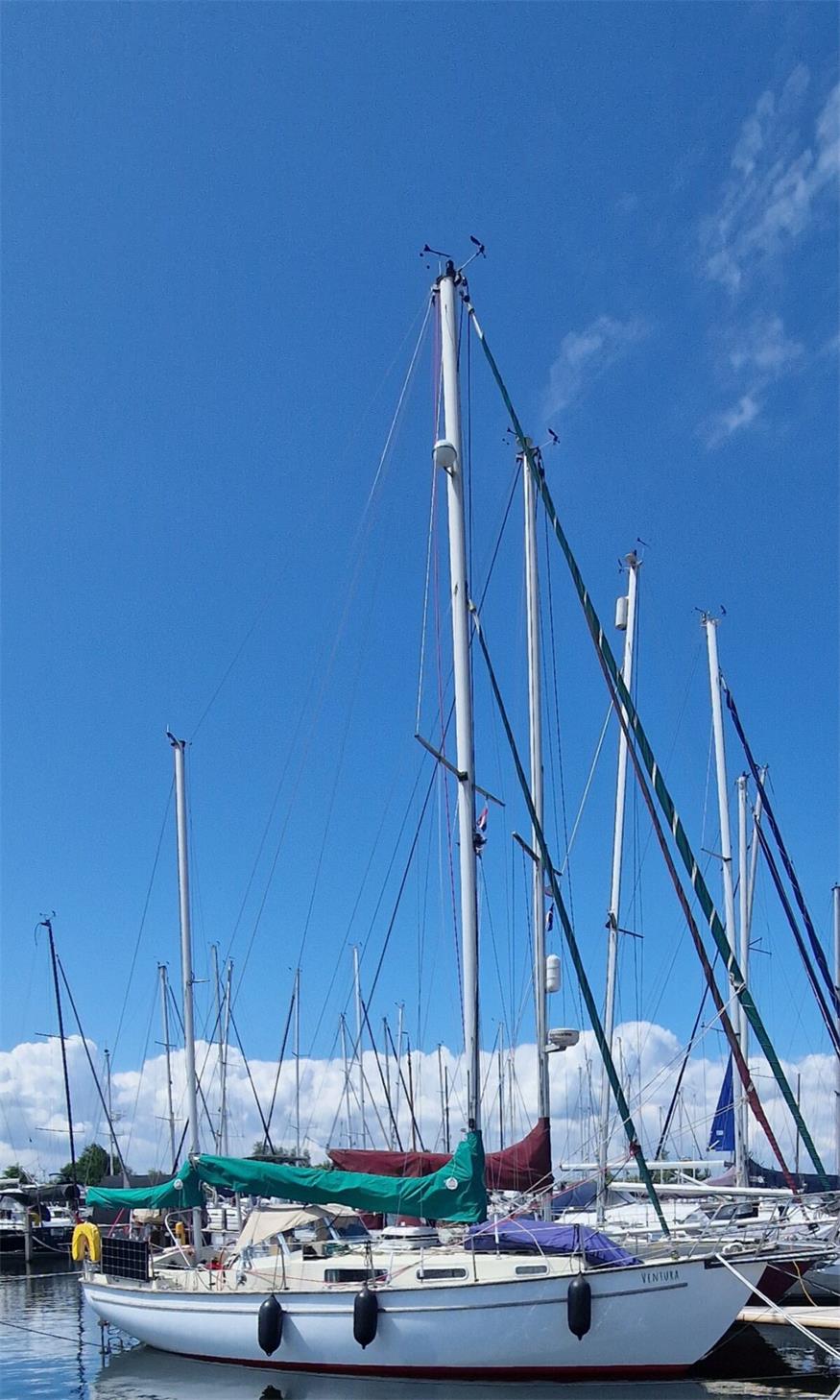 Mit dem Segelboot um die ganze Welt: Zwei Mittelburgenländer erzählen 