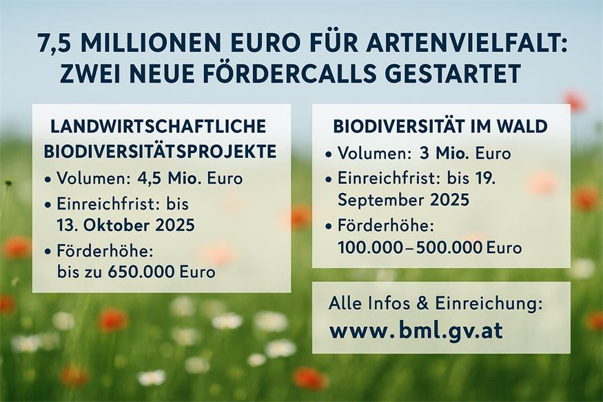 Neuer Fördertopf für Biodiversität im Weingarten, am Acker und im Wald 