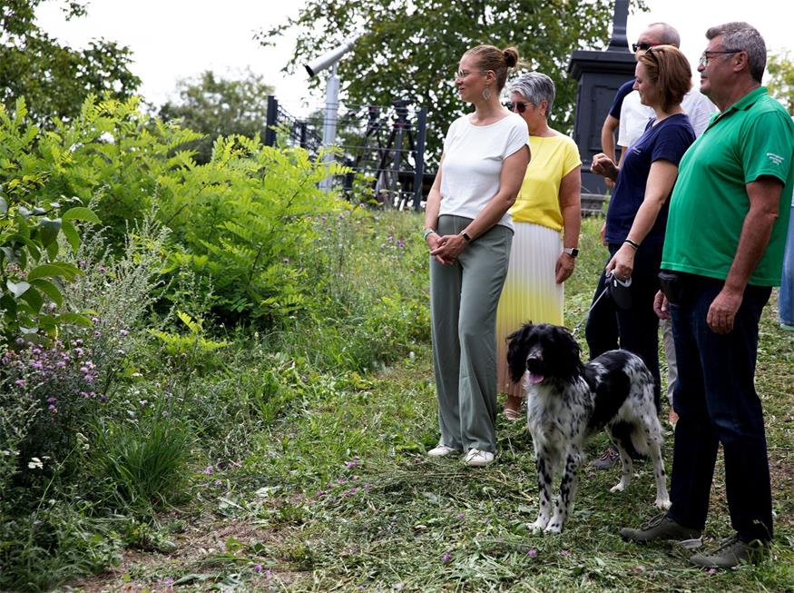 Naturpark erfolgreich im Kampf gegen gebietsfremde Arten 