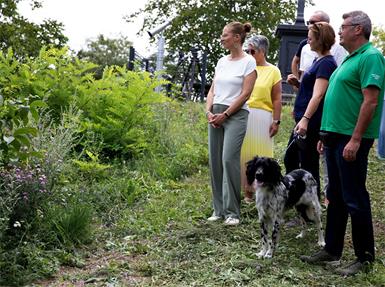 Naturpark erfolgreich im Kampf gegen gebietsfremde Arten