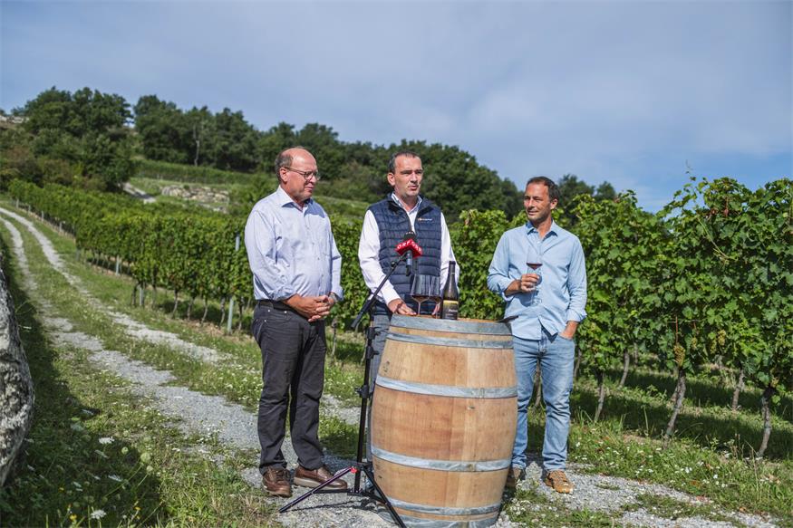 Weinlese 2025: „Der beste Jahrgang des Jahrtausends“? Weinlese 2025: „Der beste Jahrgang des Jahrtausends“?