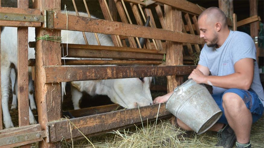 Mit Herzblut und Verstand – Junge Bauern, alte Tierrassen Mit Herzblut und Verstand – Junge Bauern, alte Tierrassen