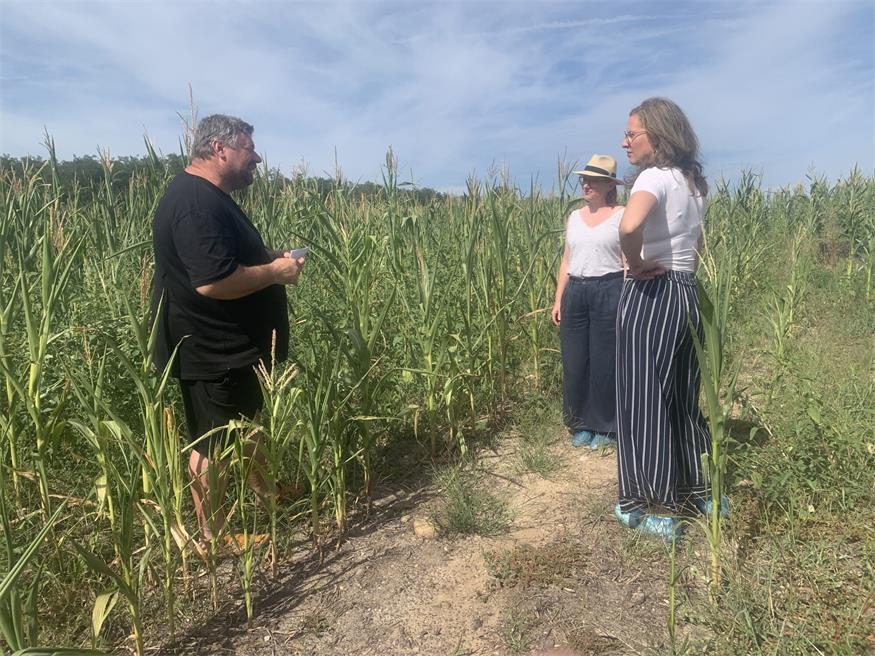 Landwirtschaftlicher Innovationsbetrieb in Lackendorf 