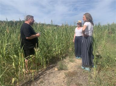 Landwirtschaftlicher Innovationsbetrieb in Lackendorf