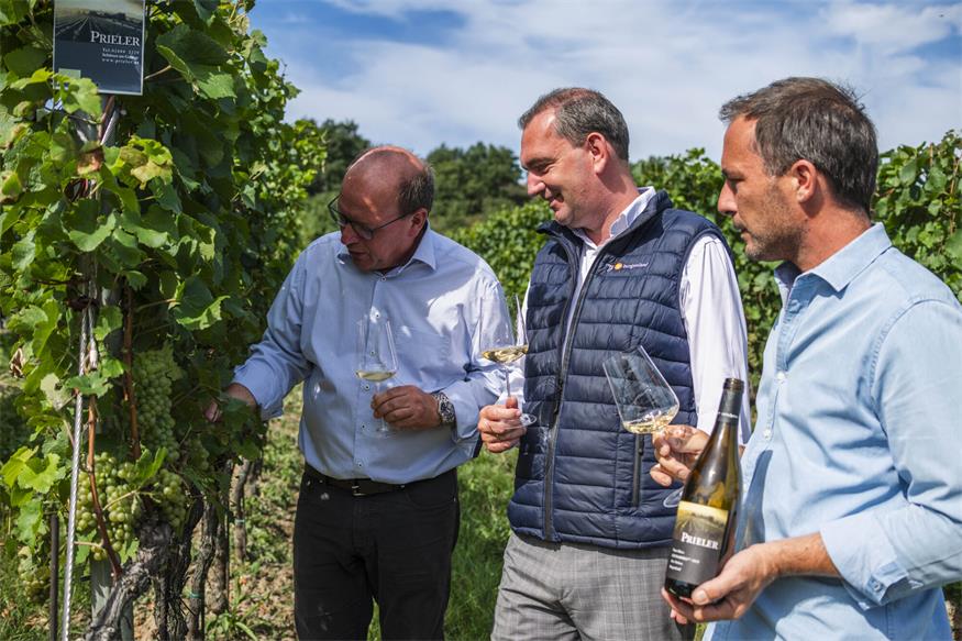 Qualität hui, Preise pfui - schwierige Zeiten in der Weinbranche Qualität hui, Preise pfui - schwierige Zeiten in der Weinbranche