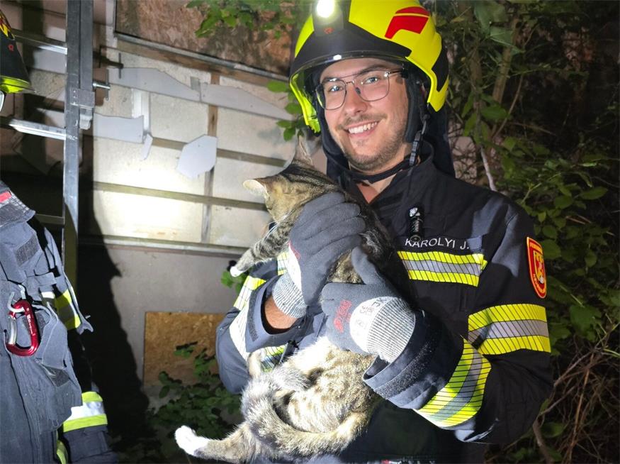 Feuerwehr Neusiedl: Zweite Tierrettung in 24 Stunden Feuerwehr Neusiedl: Zweite Tierrettung in 24 Stunden