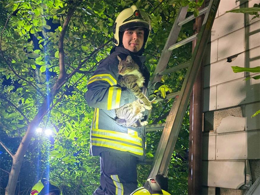 Feuerwehr Neusiedl: Zweite Tierrettung in 24 Stunden 