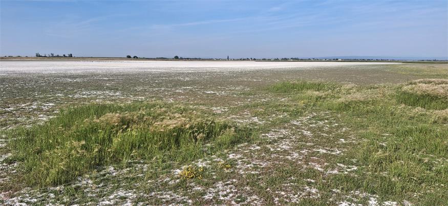 Lange Lacke im Seewinkel droht zu verschwinden 