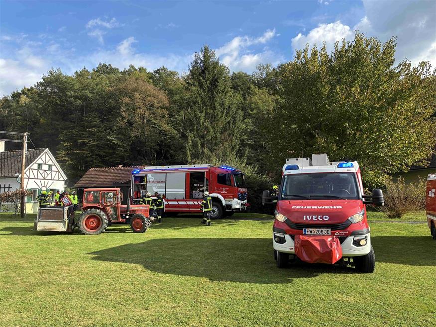 Hund entdeckt Brand und schlägt Alarm 