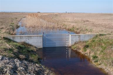 Apetlon: Geplante Wassermaßnahmen schlagen Wellen