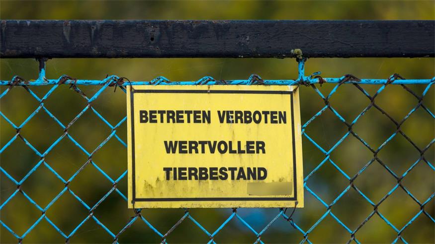 Vogelgrippe-Fall in Geflügelbetrieb im Burgenland 