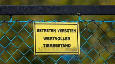 Vogelgrippe-Fall in Geflügelbetrieb im Burgenland