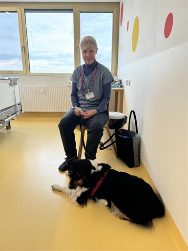 Ein Lichtblick auf vier Pfoten in der Klinik Oberwart