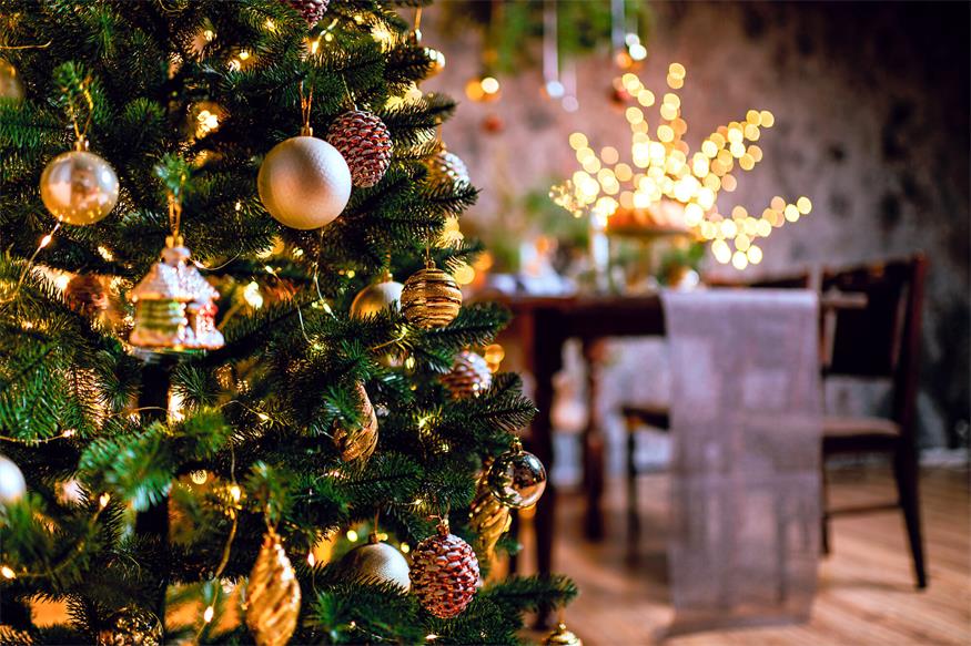 Zwischen Festessen und Christbaum: So wird heute gefeiert 