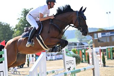 Burgenlands Springreiter überzeugen in Kammer-Schörfling