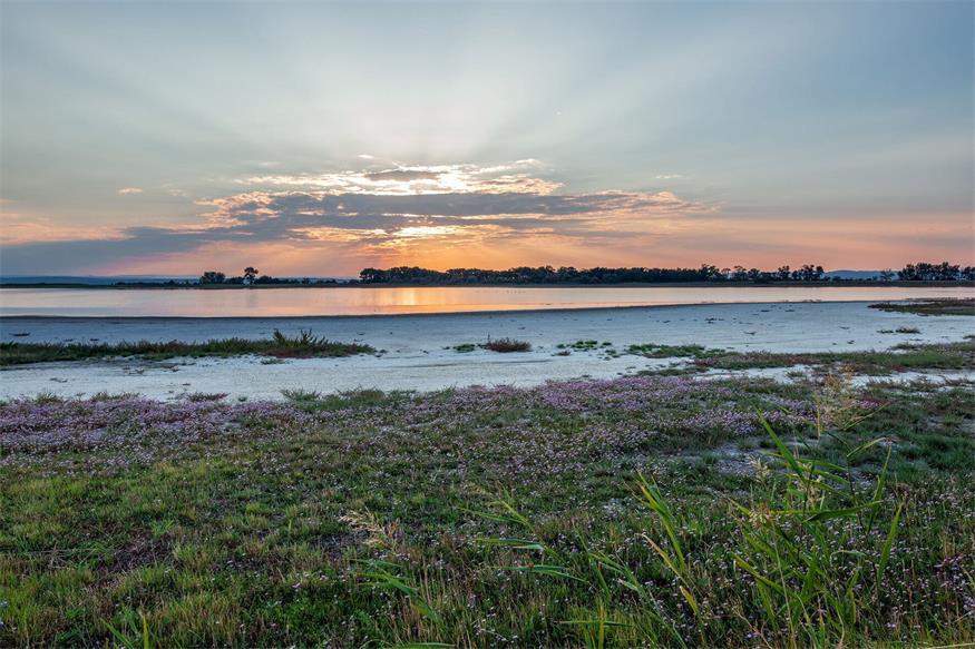 Grundwasser: Start für Rettung der Salzgebiete im Seewinkel 