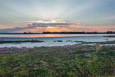 Grundwasser: Start für Rettung der Salzgebiete im Seewinkel