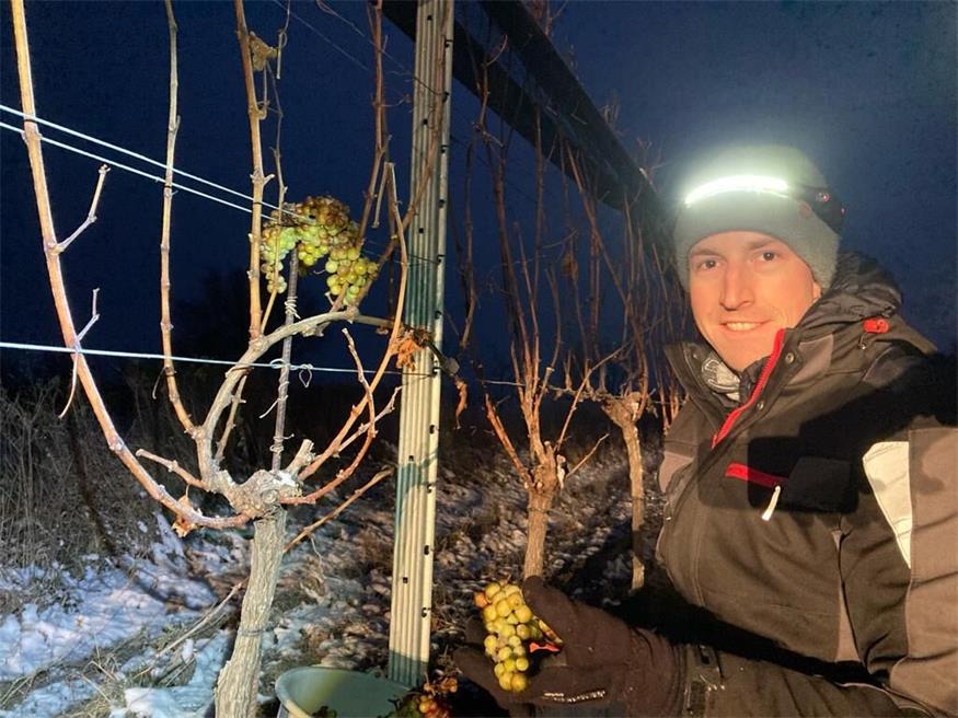 Die EU und das Wein-Etikett: Nicht ganz unkompliziert Die EU und das Wein-Etikett: Nicht ganz unkompliziert