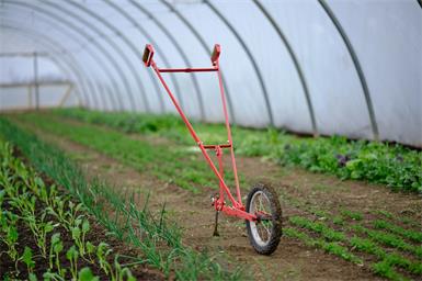 SeeWinkelgärten: Teamwork für Regionalität