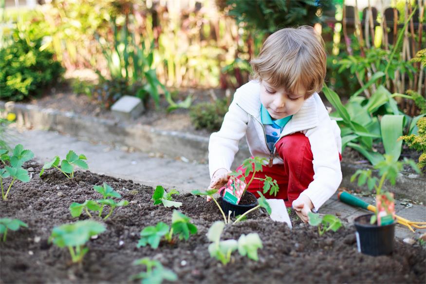 Warm-kalt im Garten: So kann man seine Pflanzen schützen 