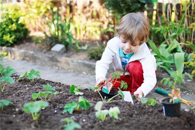 Warm-kalt im Garten: So kann man seine Pflanzen schützen