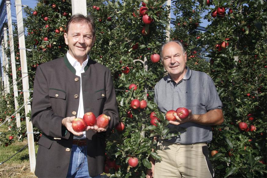 Warm-kalt im Garten: So kann man seine Pflanzen schützen 