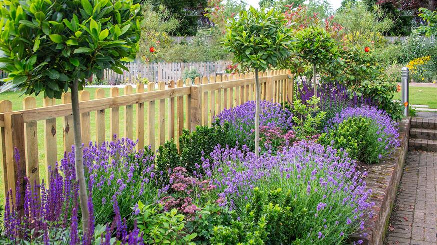 Blumen unterm Baum bringen's Blumen unterm Baum bringen's