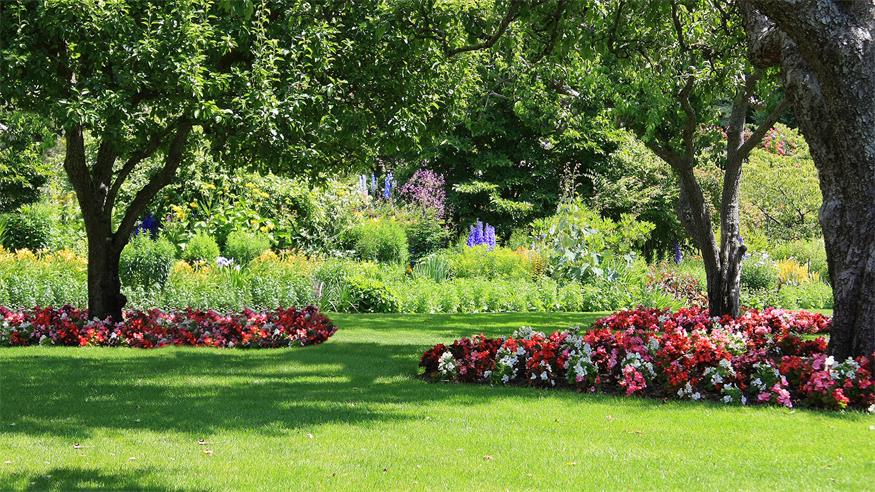 Blumen unterm Baum bringen's Blumen unterm Baum bringen's