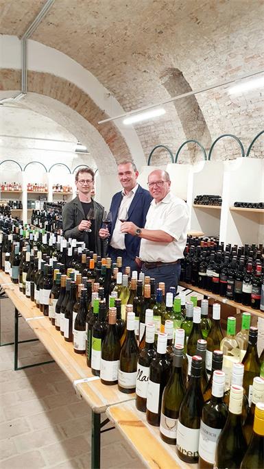 Weinlese 2026: Trotz Trockenheit und Rebzikade vorsichtig optimistisch