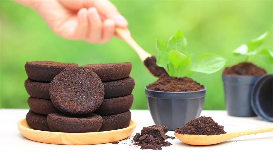 Kaffeesatz als Dünger: Verwendest du ihn falsch? 