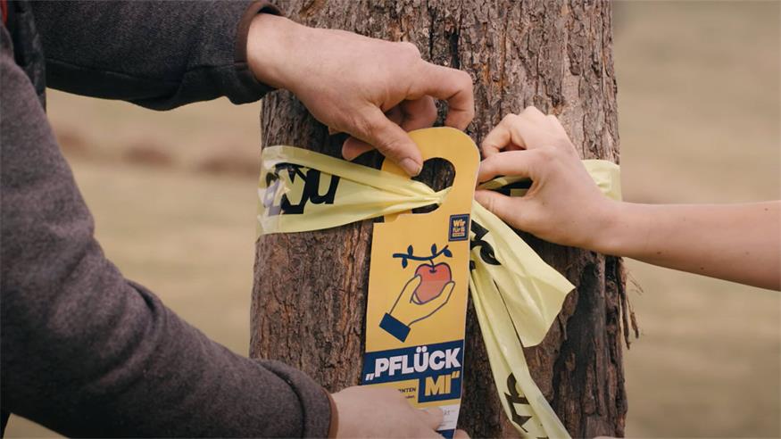 Was bedeutet das gelbe Band am Baum? 
