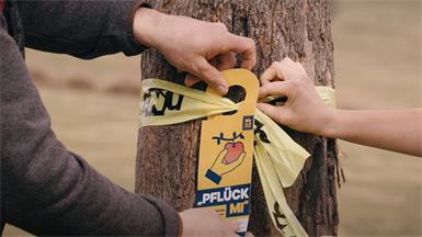 Was bedeutet das gelbe Band am Baum?