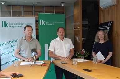 Dürre & Hitze: Deutliche Einbußen beim Getreide im Burgenland erwartet