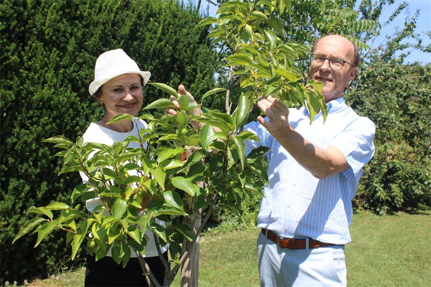 Raus aus Behörde und Landhaus, rein in den Garten Raus aus Behörde und Landhaus, rein in den Garten