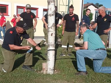„Baum fällt“ hieß es beim Dämmerschoppen in Klostermarienberg