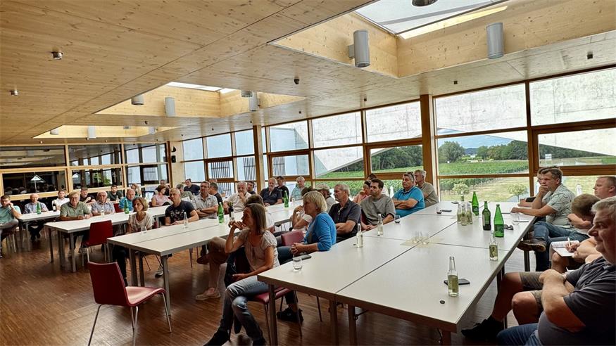 Burgenland: Kampf gegen Rebkrankheit wird intensiviert Burgenland: Kampf gegen Rebkrankheit wird intensiviert