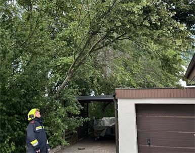 Hirm: Baum drohte auf Haus zu stürzen