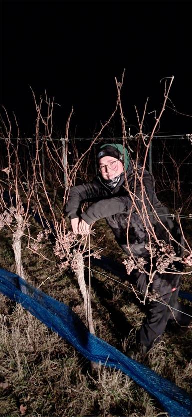 Der weite (und kalte) Weg zum Prinzessinnenwein
